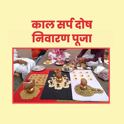 Kaal Sarp dosh shanti puja