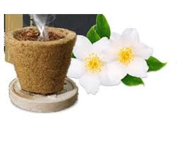  Natural Jasmine Sambrani Cup