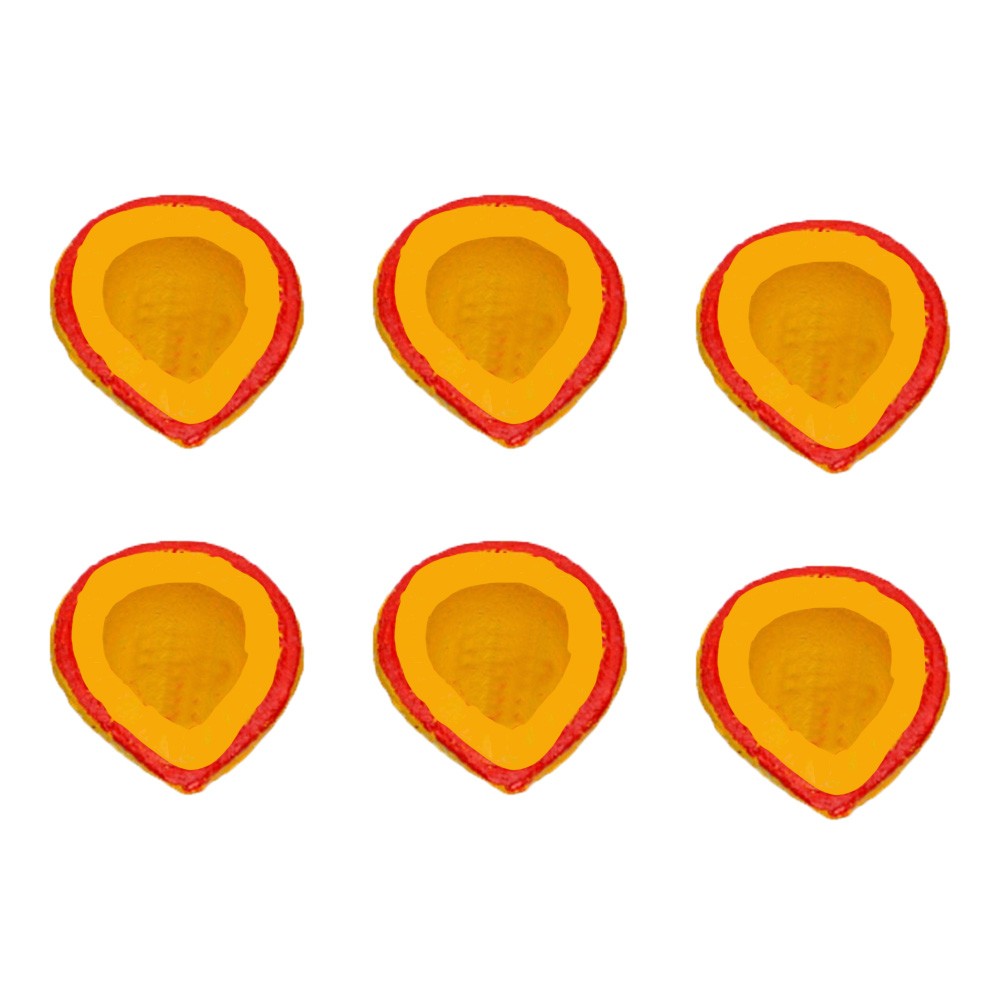 Panchgavya Diya Colorful - Set of 6