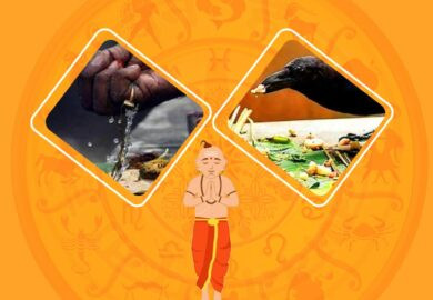 Pitra Dosh puja (Online)
