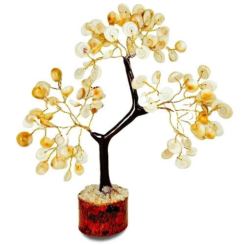 Gomati Chakra Tree 100 Beads (200g)