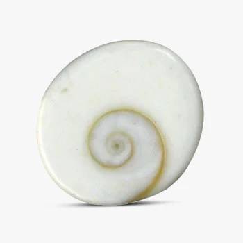Gomti Chakra Stone - Wealth, Health And Success