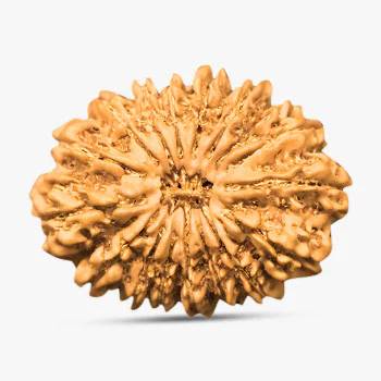 20 Mukhi Rudraksha - Faith & Spiritual Knowledge