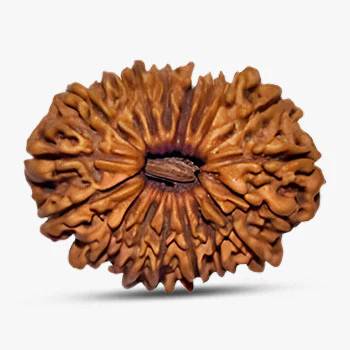 18 Mukhi Rudraksha - Peaceful Mind!