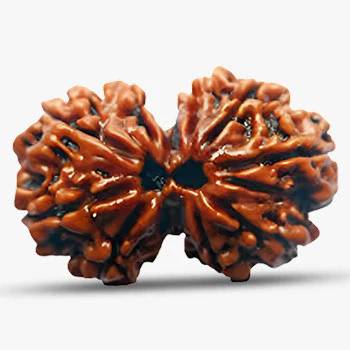 Gauri Shankar Rudraksha - Get Success in Your Life