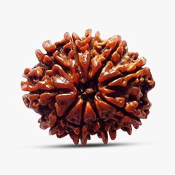 10 Mukhi Rudraksha - Energy