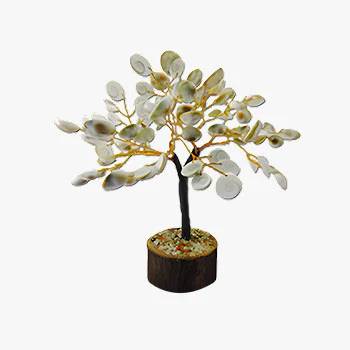Gomti Chakra Tree